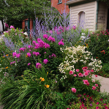 July-streetside-garden-blooms-.jpg