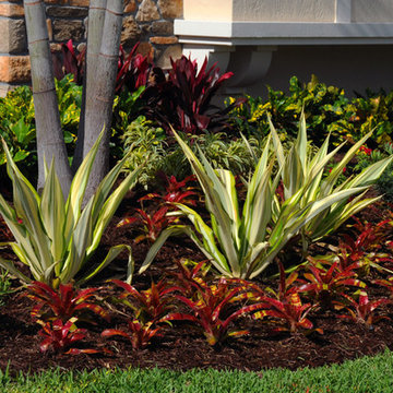 Jupiter Country Club Landscape
