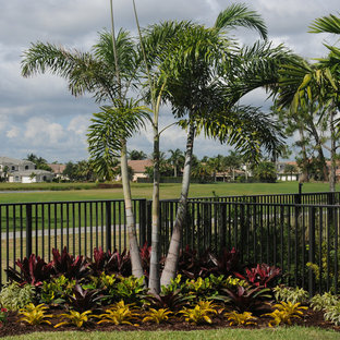 Idee per un giardino tropicale esposto in pieno sole di medie dimensioni e dietro casa