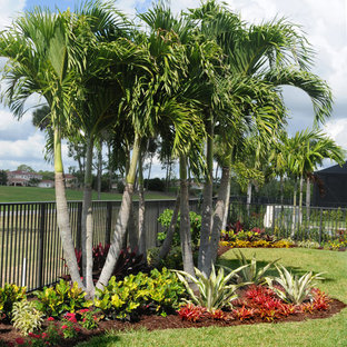 Foto di un grande giardino tropicale esposto in pieno sole dietro casa con pavimentazioni in cemento