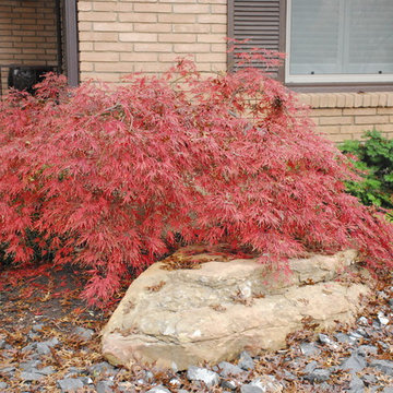 Kakusareta yōsai in Park Hill