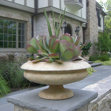 Kalanchoe with Sansevieria