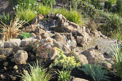 サクラメントにあるトラディショナルスタイルのおしゃれな庭の写真