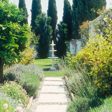 nola garden