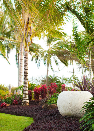 Tropical Garden by Designscape Inc.