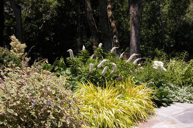 Imagen de jardín actual de tamaño medio en verano en patio trasero con exposición reducida al sol y adoquines de piedra natural
