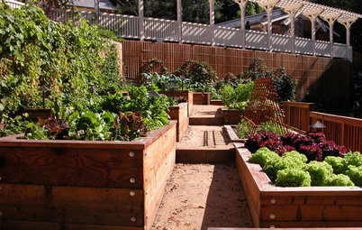7 Tips to Ensure Success With Raised Bed Gardening