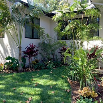 Kentia Palm tropical front entry provides shade and privacy