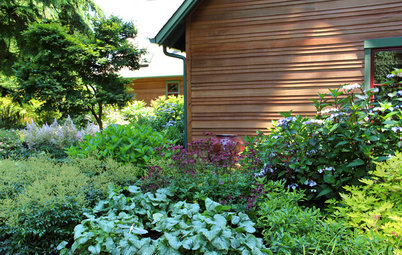 Colorful Plant Combos for Shade Gardens