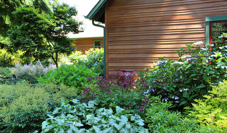 Colorful Plant Combos for Shade Gardens