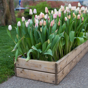 Keukenhof: World's Largest Bulb Garden