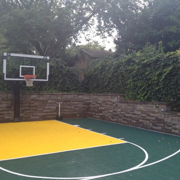 Kevin D's Pro Dunk Platinum Basketball System on a 25x32 in Portland, OR