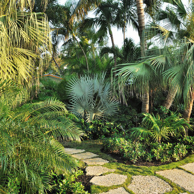 Inspiration for a tropical backyard landscaping in Miami.