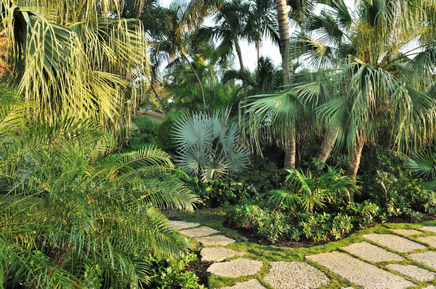 Tropical Garden by Craig Reynolds Landscape Architecture