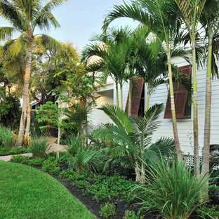 Immagine di un giardino tropicale dietro casa