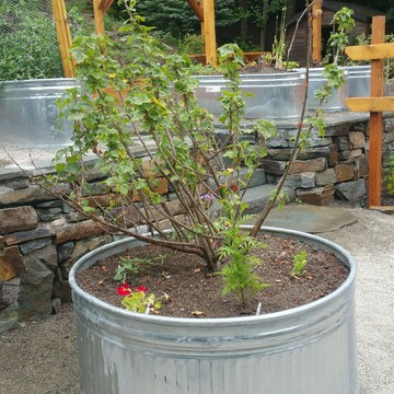 Kirkland Backyard Redeux