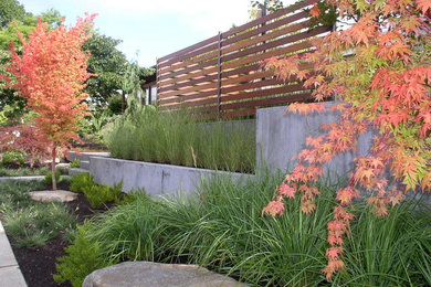 Imagen de jardín moderno de tamaño medio en patio delantero con exposición parcial al sol