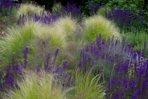 11 der schönsten winterharten Gräser für den Garten