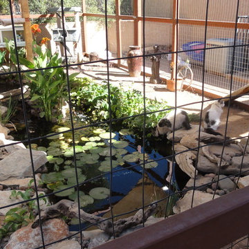 Kitty Enclosure