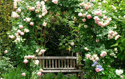 8 astuces pour faire de votre jardin un lieu empli de romantisme