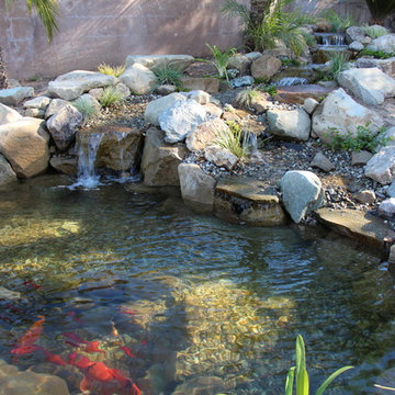 Koi Fish Pond With a View!