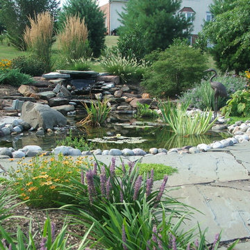 Koi Pond and Waterfall- Small Scale Design