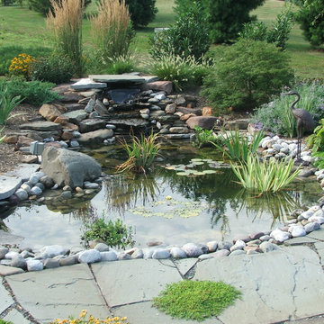 Koi Pond and Waterfall- Small Scale Design