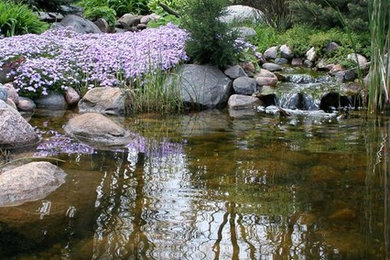 KOI Pond, Backyard Pond & Small Pond Ideas for your Chicagoland Landscape