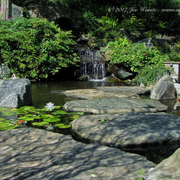 Koi Pond in Rockland County