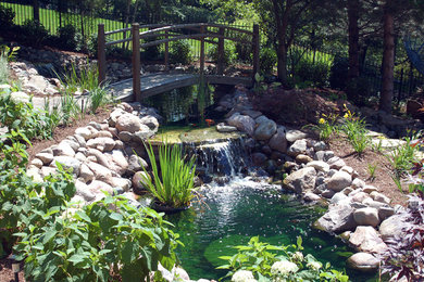 Koi Pond Renovation