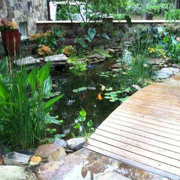 Koi Pond with Rustic arched bridge.