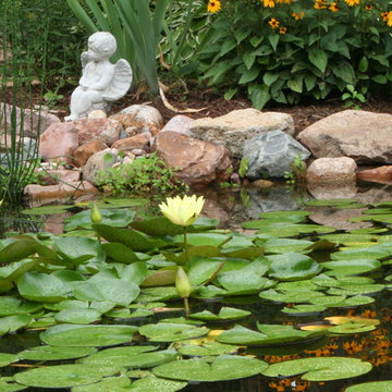 Koi Ponds and Water Gardens