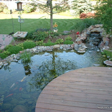 Koi Ponds and Water Gardens