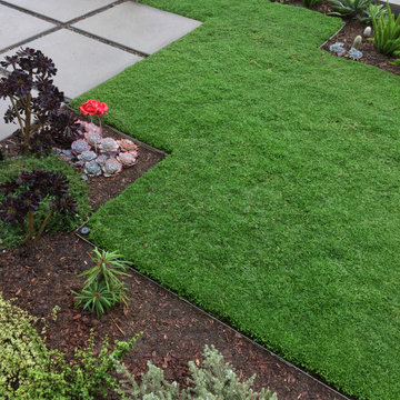 Kurapia ground cover as lawn replacement