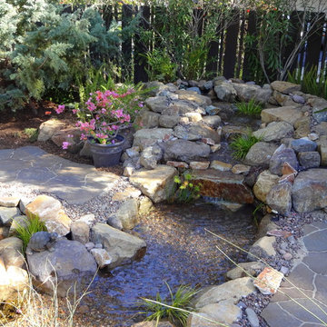 La Mesa Pond and Waterfall design