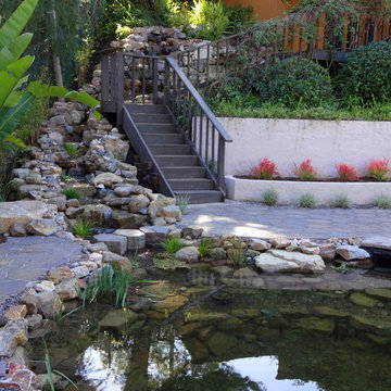 La Mesa Pond and Waterfall design