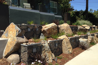 Inspiration for a contemporary drought-tolerant front yard landscaping in San Diego.