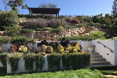 サンタバーバラにあるおしゃれな庭の写真