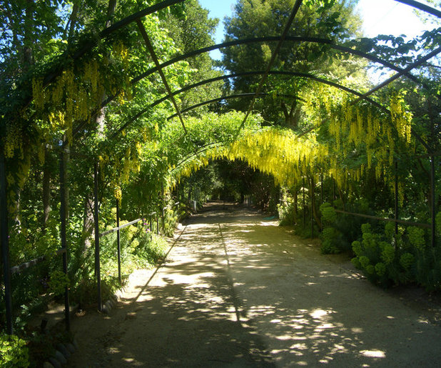 Traditional Garden by Zeterre Landscape Architecture