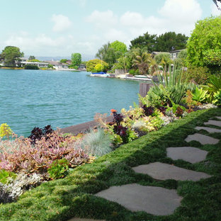 Ispirazione per un laghetto da giardino tropicale esposto a mezz'ombra di medie dimensioni e dietro casa con pavimentazioni in cemento