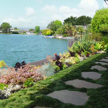 Lagoon