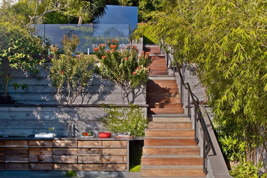 Inspiration for a modern backyard landscaping in San Francisco.