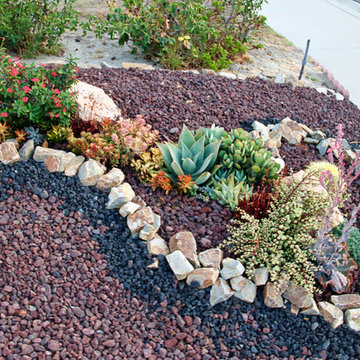 Lake Forest HOA Home Front Yard Remodel with Drought Tolerant Succulent Garden