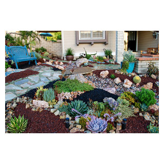 Lake Forest HOA Home Front Yard Remodel with Drought Tolerant Succulent ...