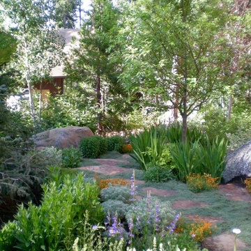 Lake Tahoe garden path