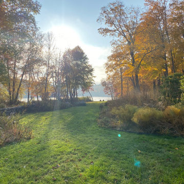 Lakefront Idyll - Meadow