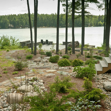 Lakeside landscape