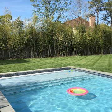 Lakewood NJ Instant Privacy Hedge for Swimming Pool