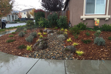 Design ideas for a drought-tolerant and full sun gravel garden path in Sacramento.