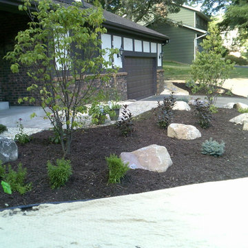 Landscape and Patio Project